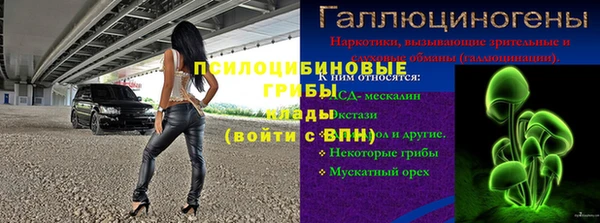 скорость Новодвинск