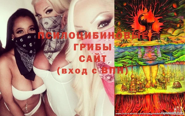 скорость Новодвинск