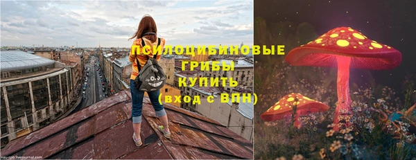 apvp Новозыбков