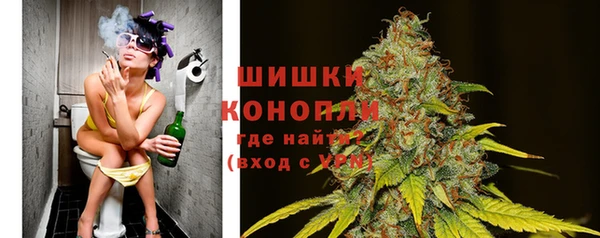 стаф Няндома